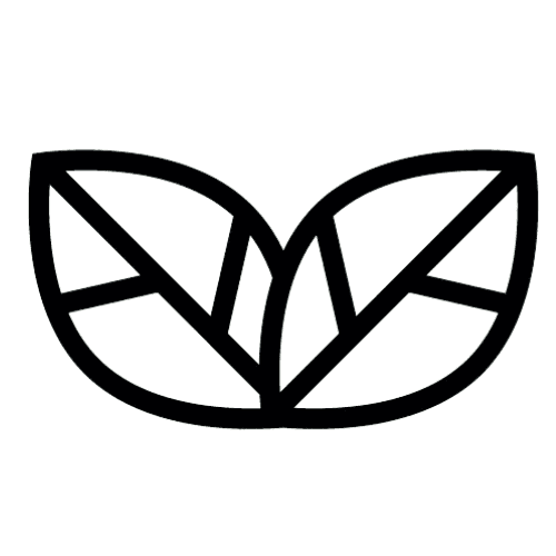 تنقية الجسم من السموم