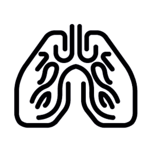 إيقاف دورة الربو والتحسس